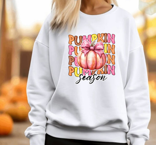 Pumpkin fall sweatshirt