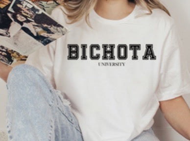 Bichota University Sweatshirt