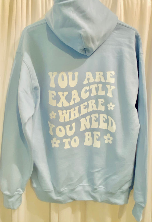 You are exactly where you need to be . All you need is love hoodie